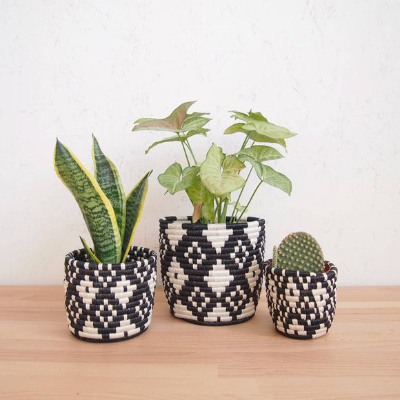 Ndora Basket Planters (Set of 3)