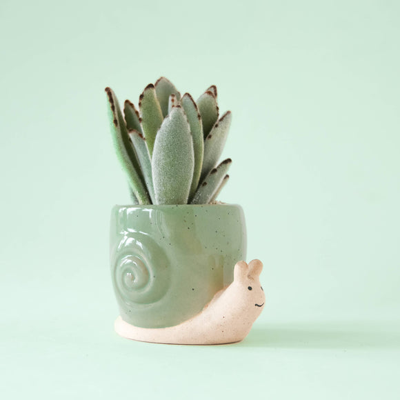 Snail Planter